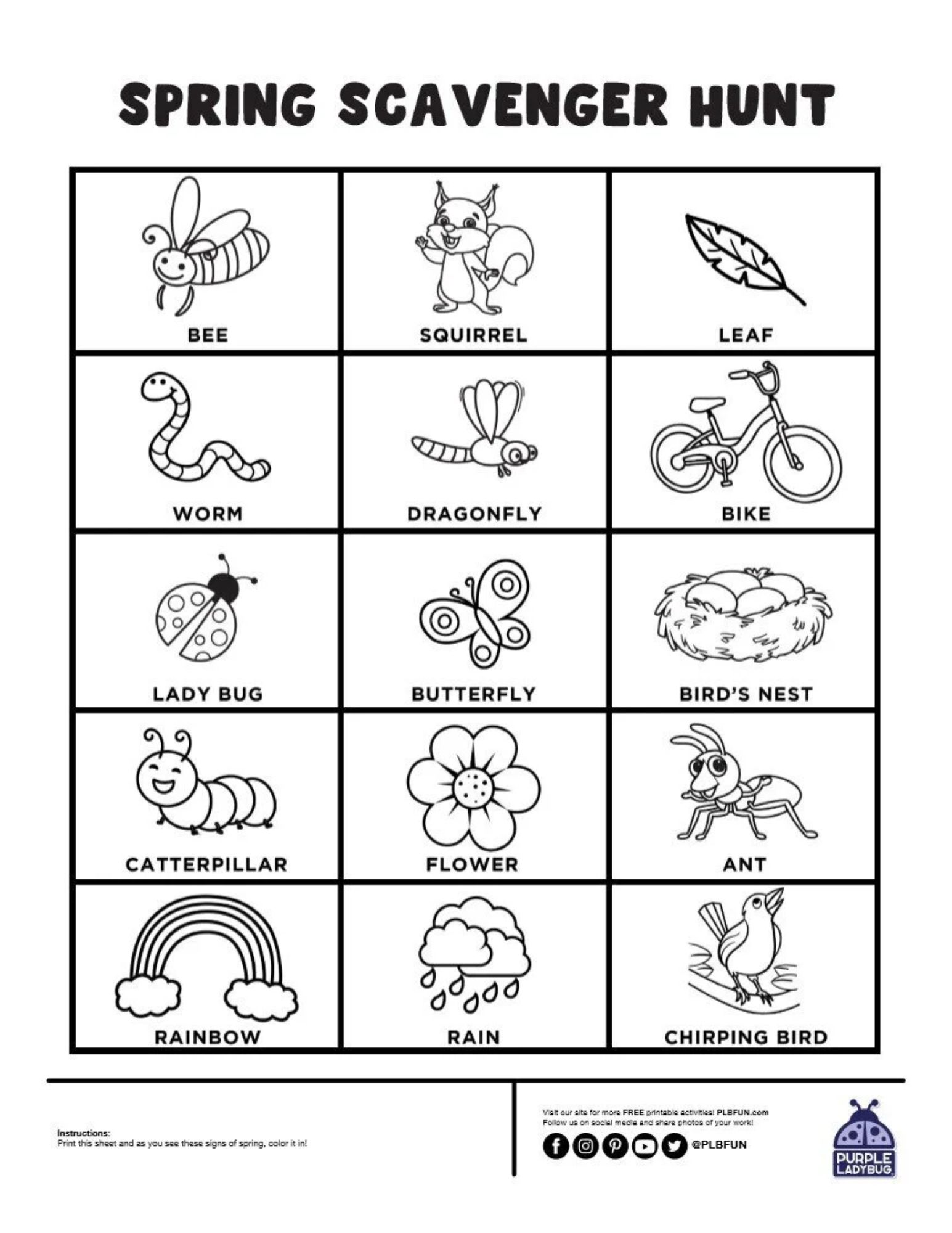 scavenger hunt. pictures of spring items to find